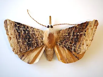 Learn about native moths from an expert!