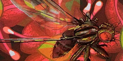 Learn about native flies from an expert!