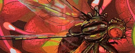 Learn about native flies from an expert!