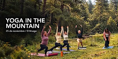 Yoga in the Mountain