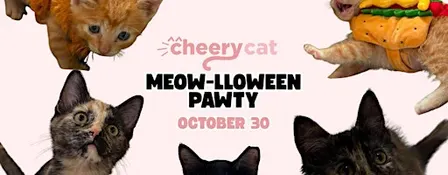 Meow-lloween Pawty