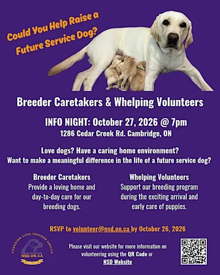 National Service Dogs Breeder Caretaker & Whelping Volunteer Info Night