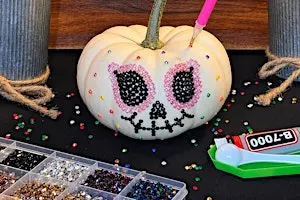 Pumpkin Bedazzling ✨