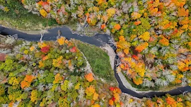 The Fish in Our Waters - Exploring Current Research in Nova Scotia