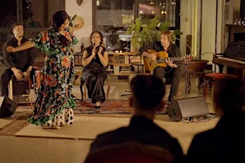 Noche de Flamenco