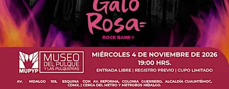CONCIERTO ÍNTIMO / GATO ROSA