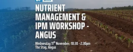Nutrient Management & IPM Workshop - Angus