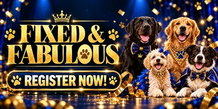 Fixed & Fabulous Pet Runway Fashion Show