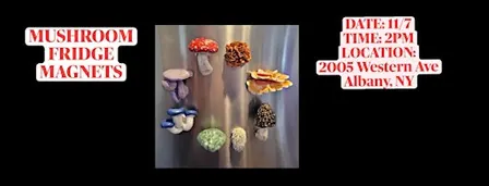 Mushroom Fridge Magnets