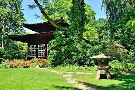 Foto-Workshop im Japanischen Garten Leverkusen