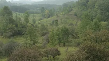 Reading the Land: Discover the Story of the Forest