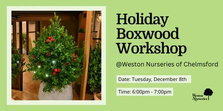 Holiday Boxwood Table Top Centerpiece Workshop - Chelmsford