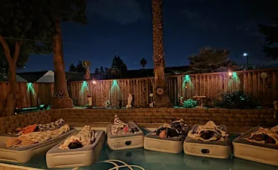 Livermorefloatnflow____ Floating Soundbath