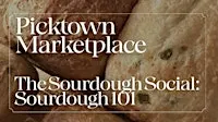 The Sourdough Social: Sourdough 101