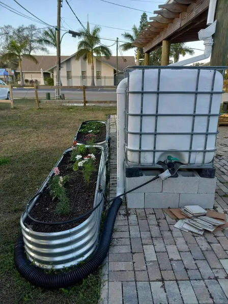 Prepare Your Garden to Survive Drought During  2027's La Nina