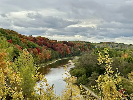 The Art of Autumn: A Guided Nature Walk
