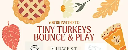 Tiny Turkeys Bounce & Play