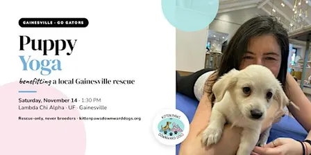 Puppy Yoga in Gainesville Benefitting a Local Rescue — 1:30 PM Session