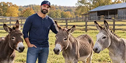 Jack of Trades Donkey Hay Day