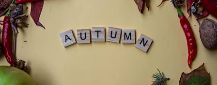 A Grounding Autumn Sound Bath