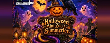 Halloween Mini Zoo