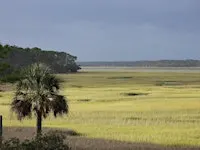 Birding the GTM NERR with Sue Killeen