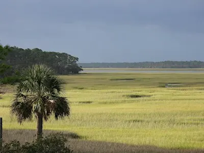 Birding the GTM NERR with Sue Killeen