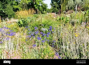 Wildlife Gardening in Changing Times