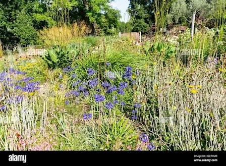 Wildlife Gardening in Changing Times