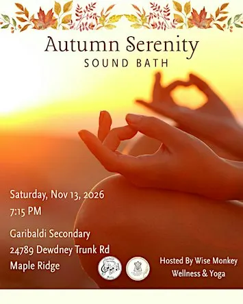 Sound Bath Meditation Hosted by Wise Monkey Wellness & Yoga