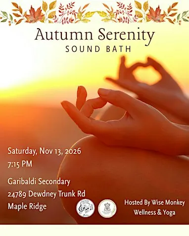 Sound Bath Meditation Hosted by Wise Monkey Wellness & Yoga