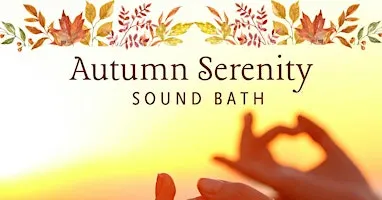 Sound Bath Meditation Hosted by Wise Monkey Wellness & Yoga