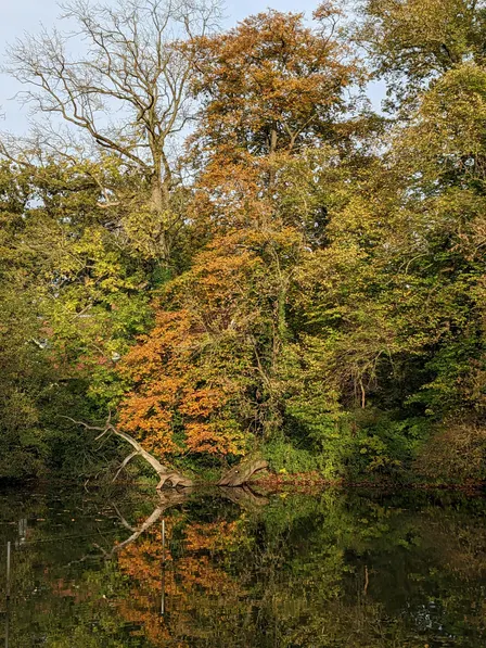 Lekker Chats NL editie herfstwandeling