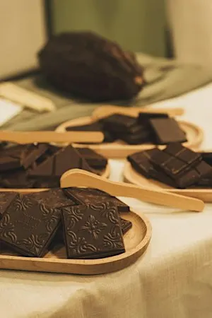 Choco Origins | Viaggio tra le origini del cacao