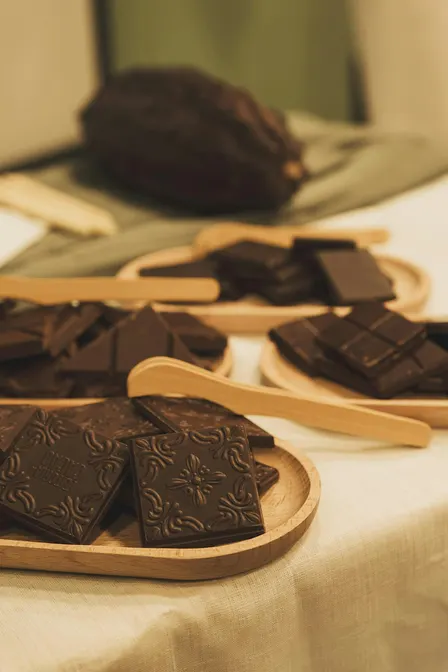 Choco Origins | Viaggio tra le origini del cacao