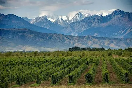 World of Wine Tasting: Argentina
