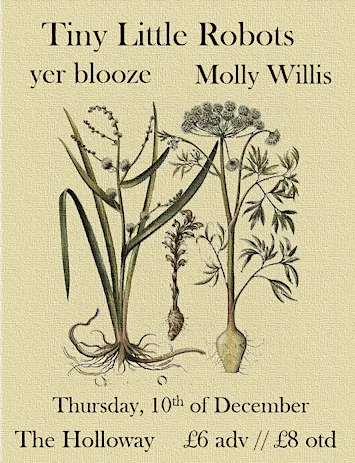 Tiny Little Robots EP Launch w/ yer blooze & Molly Willis