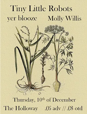 Tiny Little Robots EP Launch w/ yer blooze & Molly Willis