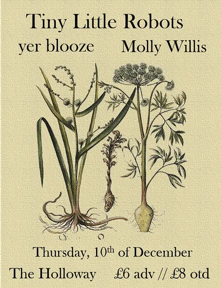 Tiny Little Robots EP Launch w/ yer blooze & Molly Willis