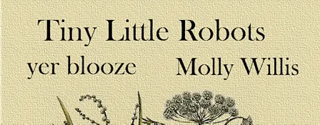 Tiny Little Robots EP Launch w/ yer blooze & Molly Willis