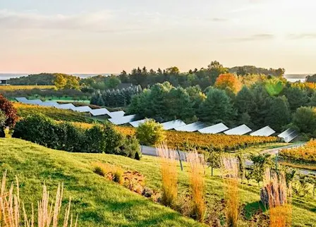 A Taste of Michigan: Chateau Chantal Estate Wines