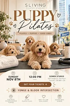 Puppy Pilates in Yorkville by Sliving Pilates