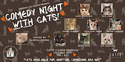 Comedy Night with Cats!