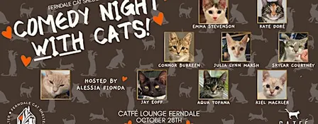 Comedy Night with Cats!