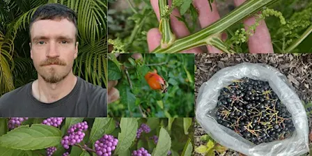Hyde Park Foraging Walk