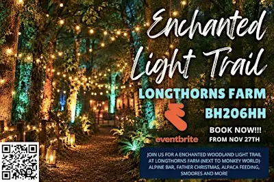 Woodland Light Trail