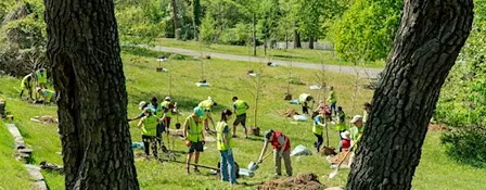 Community Tree Planting: Carnegie Science