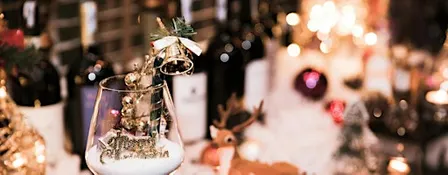 Holiday Cheers! Fun and Classy Singles that like to Mingle 45+