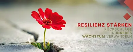 Resilienz stärken – Rückschläge in inneres Wachstum verwandeln