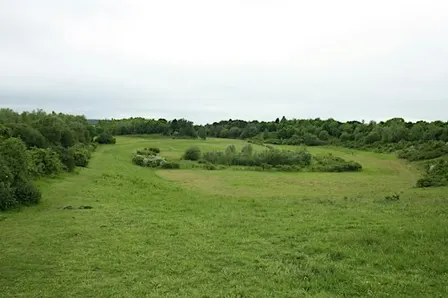 Volunteering Taster Session for 18-30s at Waterford Heath Nature Reserve